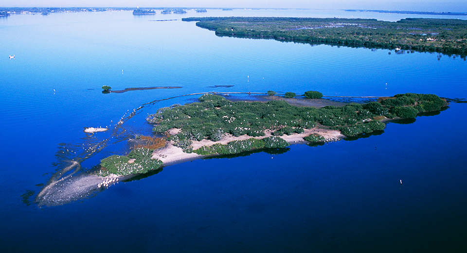 Pelican Island Refuge